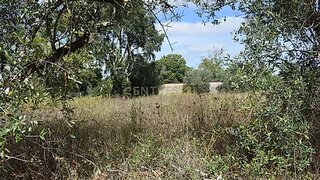 Terreno para venda em Lousã, Portugal — 54 000 €