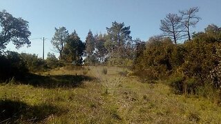Terreno em Rio Maior · 2640 m² · 19 900 €