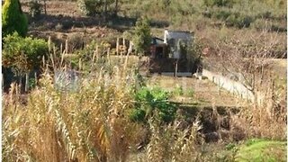 Land for sale in Tomar, Portugal — €30,000
