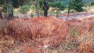 Terreno para venda em Baião, Portugal — 32 500 €