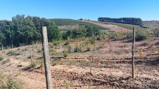 Land for sale in Bombarral, Portugal — €365,000