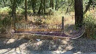 Land for sale in Salvaterra de Magos, Portugal — €100,000