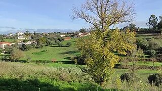 Land for sale in Torres Novas, Portugal — €45,000