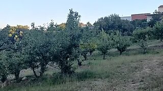 Land for sale in Bombarral, Portugal — €230,000