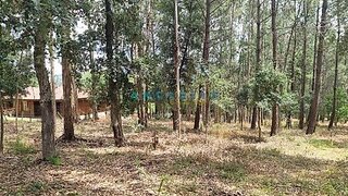 Terreno · 11 310 m² · 100 000 €