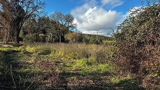 Land for sale in Tomar, Portugal — €12,000