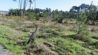 Land for sale in Marinha Grande, Portugal — €36,000