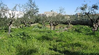 Land for sale in Horta, Portugal — €157,000