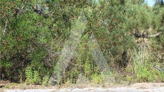 Land for sale in Águeda, Portugal — €109,000