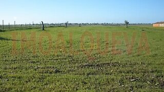 Land for sale in Reguengos de Monsaraz, Portugal — €20,000