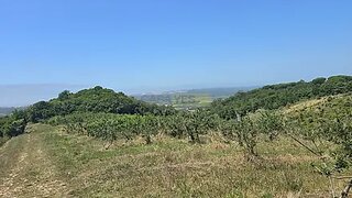 Land for sale in Alcobaça, Portugal — €325,000