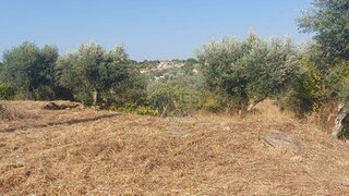 Land for sale in Abrantes, Portugal — €12,000