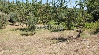 Terreno para venda em Proença-a-Nova, Portugal — 96 150 €