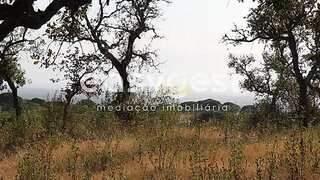 Land for sale in Grândola, Portugal — €595,000