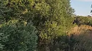 Land for sale in Albufeira, Portugal — €45,000
