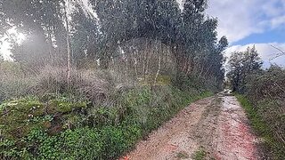 Land for sale in Mafra, Portugal — €380,000