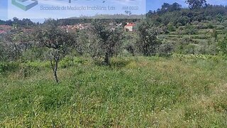 Land for sale in Castelo Branco, Portugal — €20,000