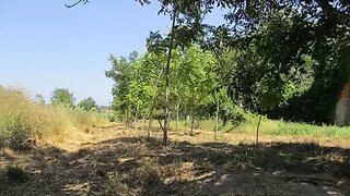 Land for sale in Soure, Portugal — €9,500