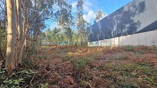 Land for sale in Leiria, Portugal — €195,000