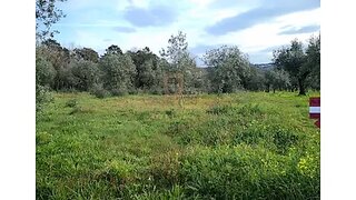 Terreno de 4300 m² em Leiria
