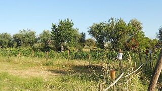 Land for sale in Nelas, Portugal — €28,000