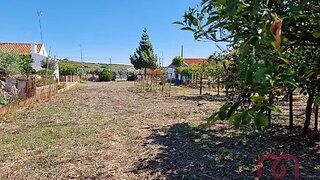 Land for sale in Borba, Portugal — €98,000