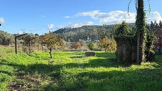 Land for sale in Ourém, Portugal — €36,000