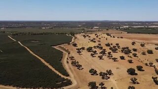 Land for sale in Avis, Portugal — €475,000