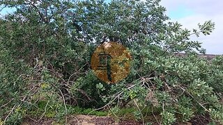 Land for sale in Castro Marim, Portugal — €35,000