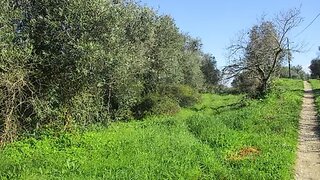 Land for sale in Soure, Portugal — €45,000