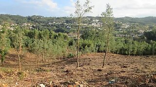 Land for sale in Oliveira de Azeméis, Portugal — €100,000