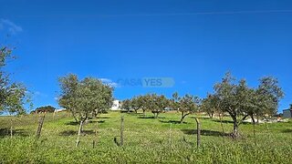 Terreno em Alandroal