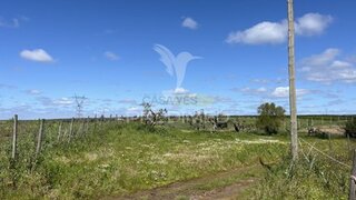 Land for sale in Ferreira do Alentejo, Portugal — €30,000