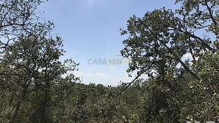 Land for sale in Ferreira do Zêzere, Portugal — €6,950