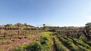 Terreno em Cadaval