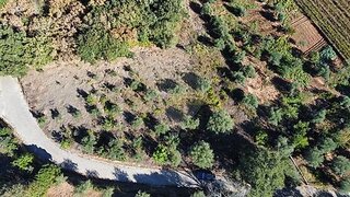 Land for sale in Alvaiázere, Portugal — €20,000