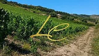Land for sale in Alenquer, Portugal — €15,000