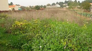 Land for sale in Águeda, Portugal — €110,000