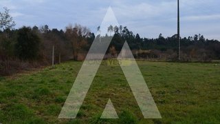 Land for sale in Anadia, Portugal — €34,000