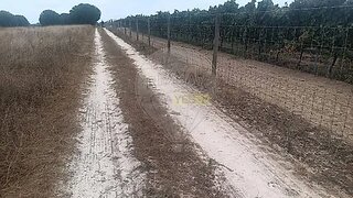 Land for sale in Palmela, Portugal — €50,000