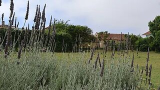 Land for sale in Óbidos, Portugal — €398,500