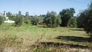 Land for sale in Tomar, Portugal — €45,000