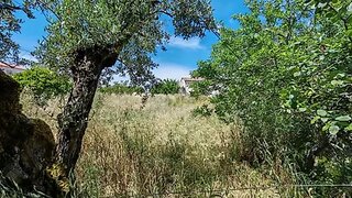 Land for sale in Tomar, Portugal — €32,000
