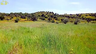 Terreno · 4160 m² · 15 400 €