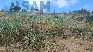 Land for sale in Torres Vedras, Portugal — €59,000