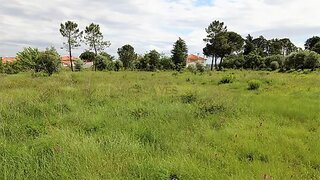 Terreno em Condeixa-a-Nova