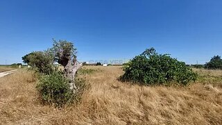 Land for sale in Palmela, Portugal — €129,000
