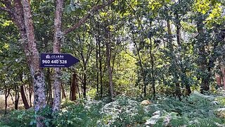 Terreno em Paços de Ferreira