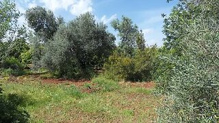 Land for sale in Albufeira, Portugal — €55,000