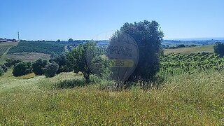 Land for sale in Torres Novas, Portugal — €33,250